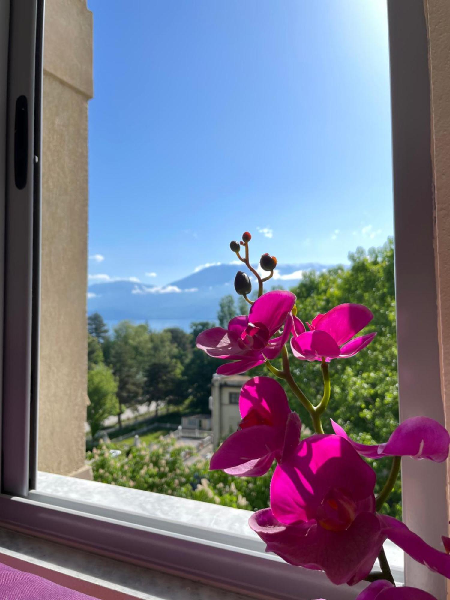 Lake View Pogradec Exterior foto